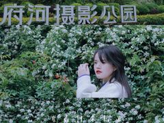 -府河摄影公园
