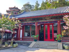 -宫事颐庭·老佛爷贵寿下午茶(颐和园店)