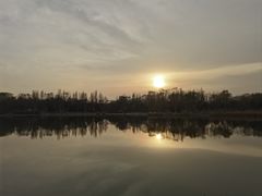 -北坞公园