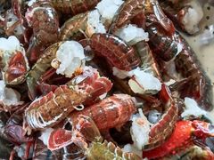 -天鹅到家·保姆月嫂育儿嫂(天河店)