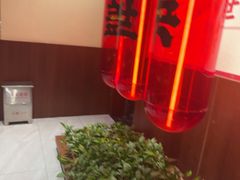 -德天顺盖码饭(人民西路店)