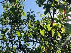 -天毓山庄·餐厅