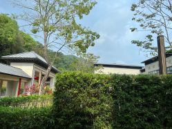 -爱帝宫月子中心(罗湖别墅院)
