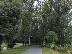 -两河城市森林公园