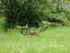 -迪庆藏族自治州博物馆