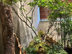 -森SPA·泰式按摩·精油Massage(宝安中心店)