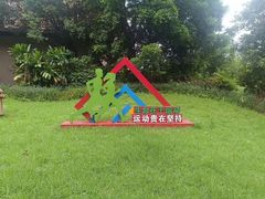 -大雁山风景区