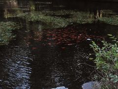 -水磨沟公园