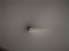 -蜂鸟快修喷漆钣喷汽修旗舰工厂(军工路店)