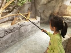 -Zoolung Zoolung动物主题公园(海信广场店)
