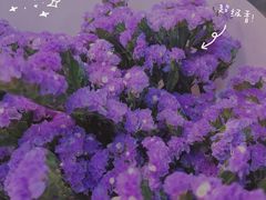 -双季花艺园艺市场(浦东店)