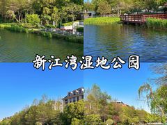 -新江湾城公园