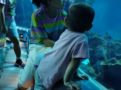 -石家庄海洋公园