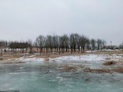 -马家湾湿地公园