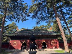 -普乐寺