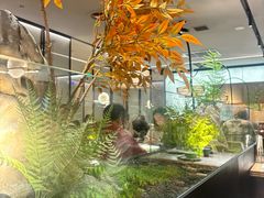 -绿茶餐厅(青岛城阳万象汇店)
