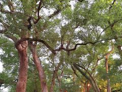 -溪口-滕头旅游景区