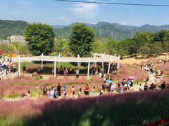 -牛岗山公园