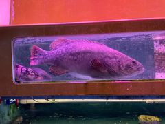 -江杨农产品批发市场