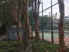 -九龙寨城公园