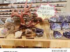 -安徽省地质博物馆