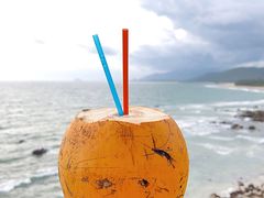 -东郊椰林