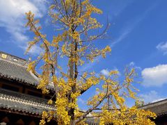 -龙华寺