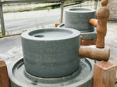 -前小桔亲子创意农场·草莓采摘·露营烧烤