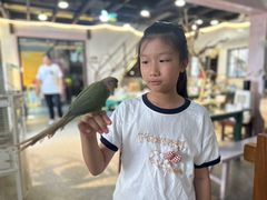 -深圳鸟咖鹦花岛
