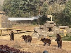 -杭州野生动物世界