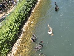 -长白岛森林公园