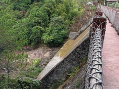 -广州白江湖森林公园