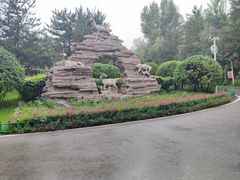 -青藏高原野生动物园