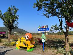 -苏州太湖西山岛开心农场