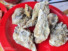 -好伦哥(温都水城店)