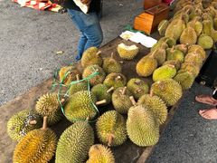 -瓜镇夜市