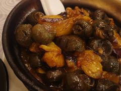 紫苏田螺茄子煲-粤·向群饭店(龙津东路总店)