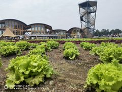 -中国天府农业博览园