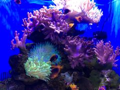 -多彩贵州城极地海洋世界