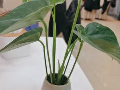 -眉州东坡(亚运村店)