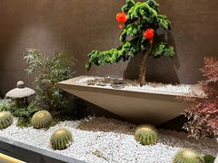 -阿露佳·舌尖上的安吉菜