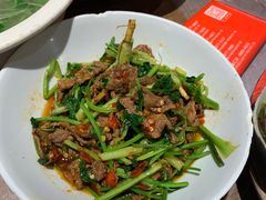 -壹盏灯(惠农店)