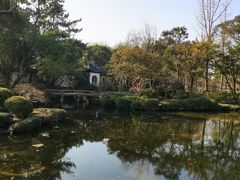 -秋霞圃