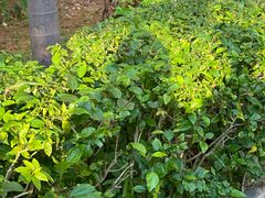 -白沙门生态公园