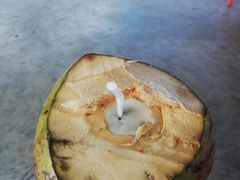 -东郊椰林