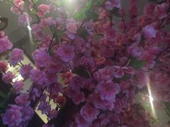 -泰山花样年华景区