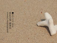 -滴水丹屏