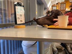 -无印良品餐堂 MUJI Diner(成都太古里店)