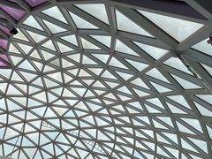 -陕西自然博物馆