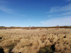 -塞罕坝国家级自然保护区